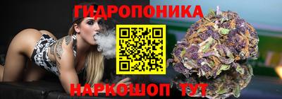 стаф Кунгур