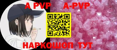 стаф Кунгур