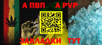 стаф Кунгур