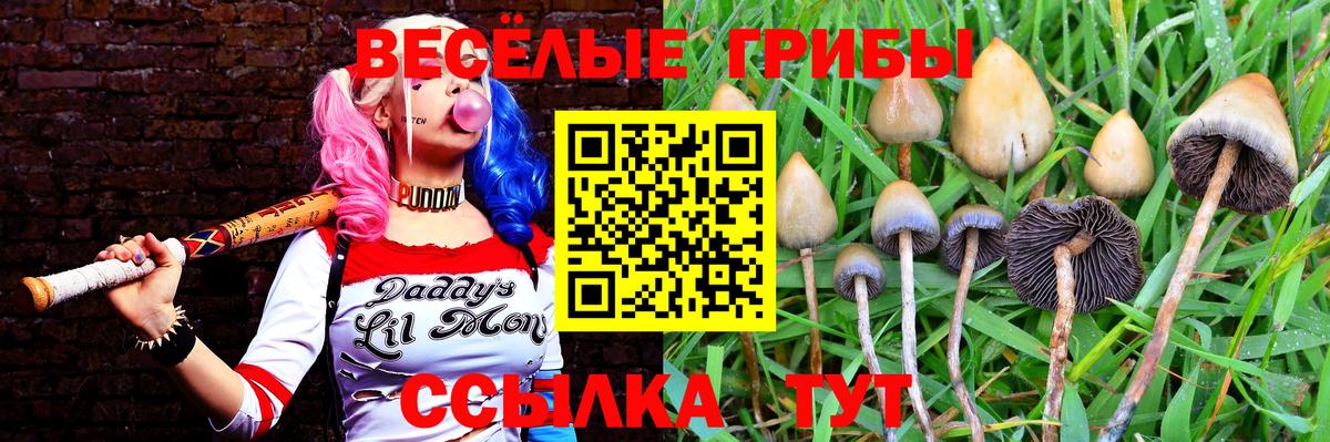 Джанкой  Галлюциногенные грибы Psilocybe  Галлюциногенные грибы прущие грибы  наркошоп  Вход с VPN 