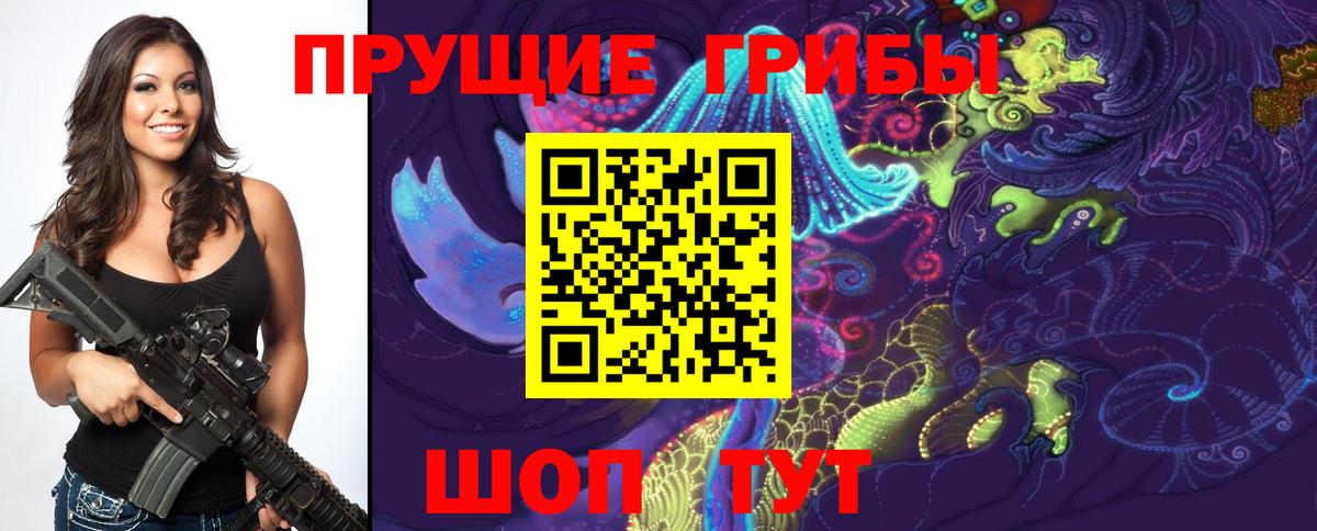 Псилоцибиновые грибы Cubensis Джанкой